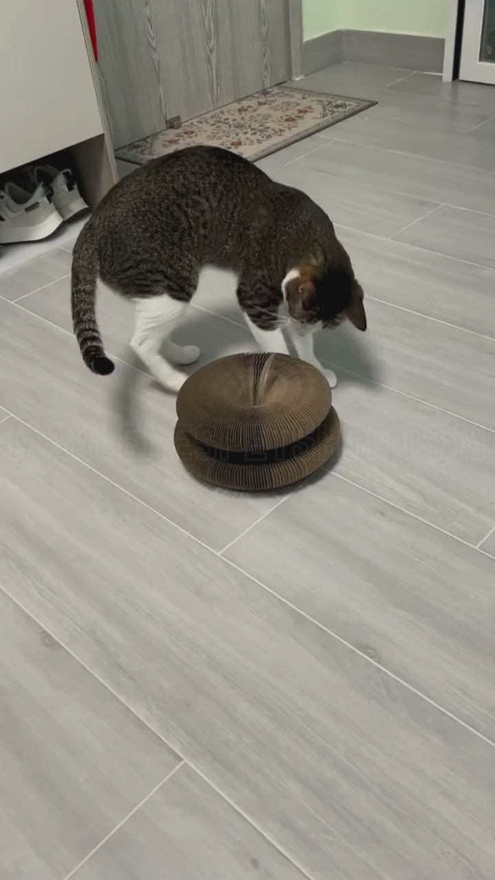 KittyKurlz PurrSpiral™