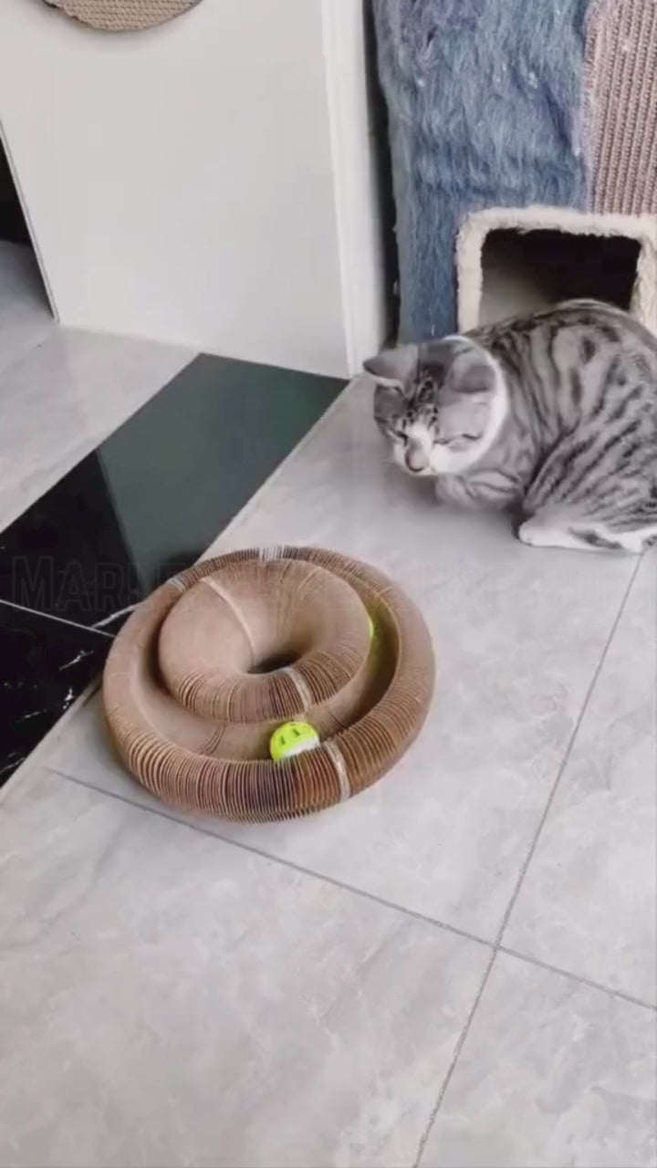 KittyKurlz PurrSpiral™