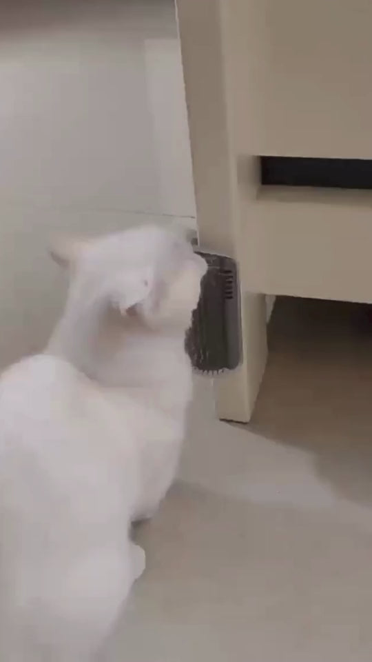 Kitty SnuggleScrub™