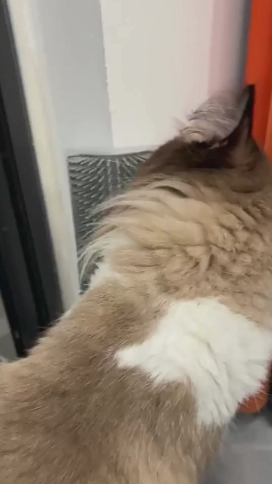 Kitty SnuggleScrub™