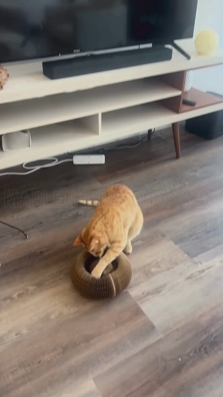 KittyKurlz PurrSpiral™