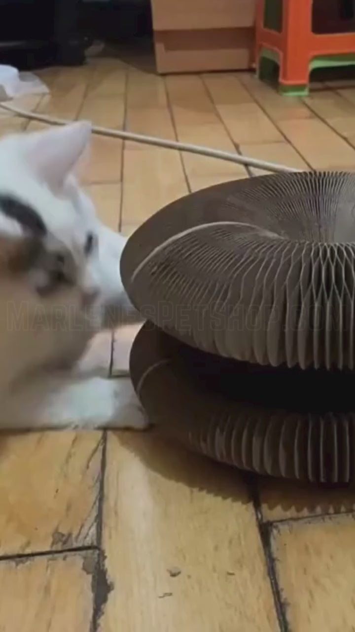 KittyKurlz PurrSpiral™